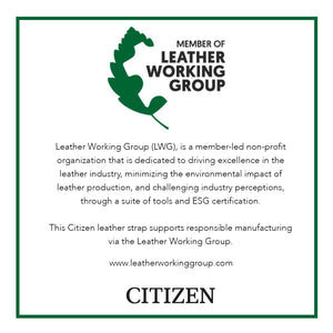 Classic Eco-Drive Watch – Men