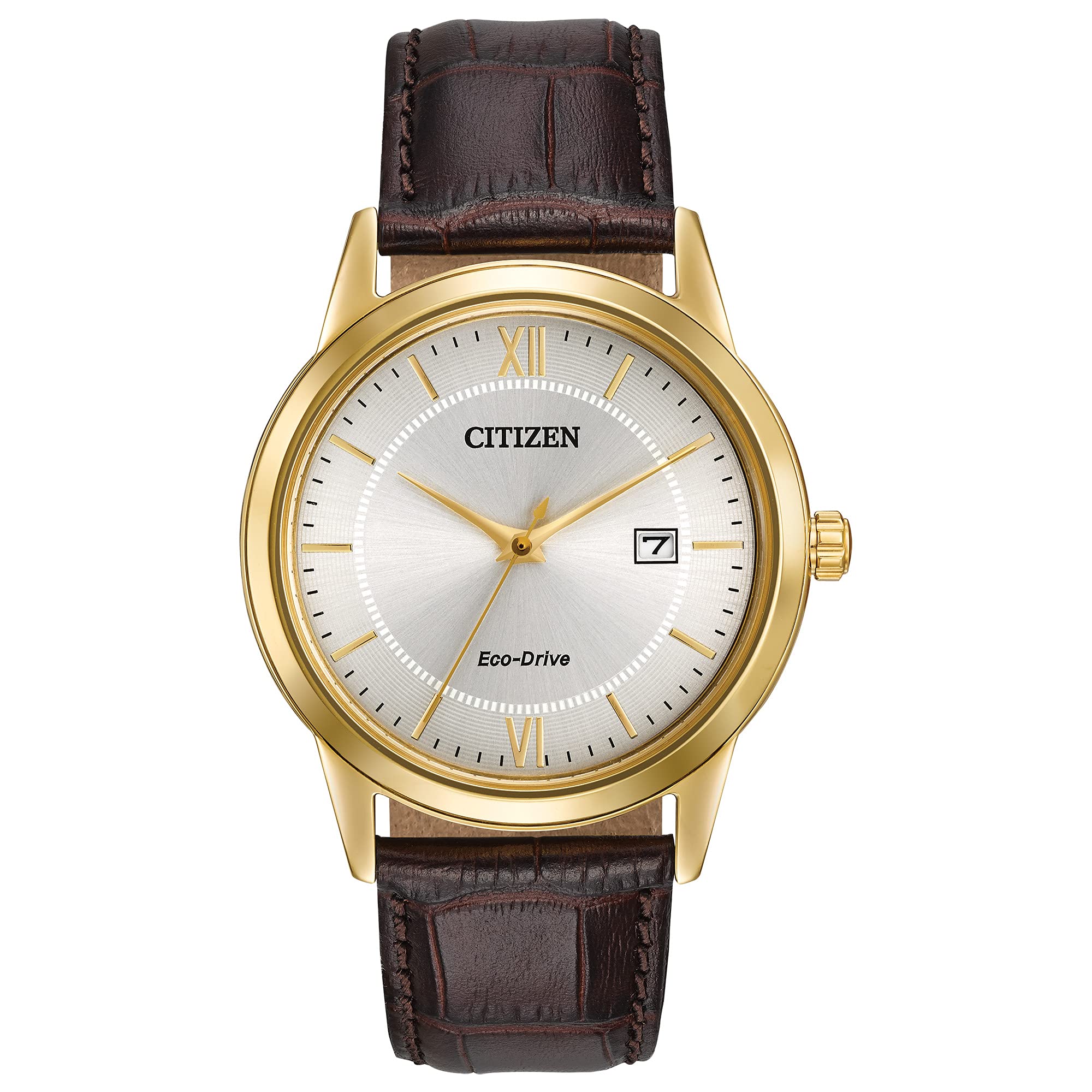 Classic Eco-Drive Watch – Men