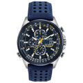 World Chronograph Watch