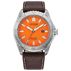 Brycen Titanium Watch – Silver Tone